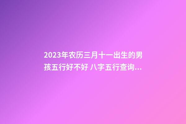 2023年农历三月十一出生的男孩五行好不好 八字五行查询取名